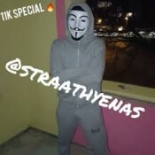 Doel van Straathyena is geld verdienen met Instagramaccount